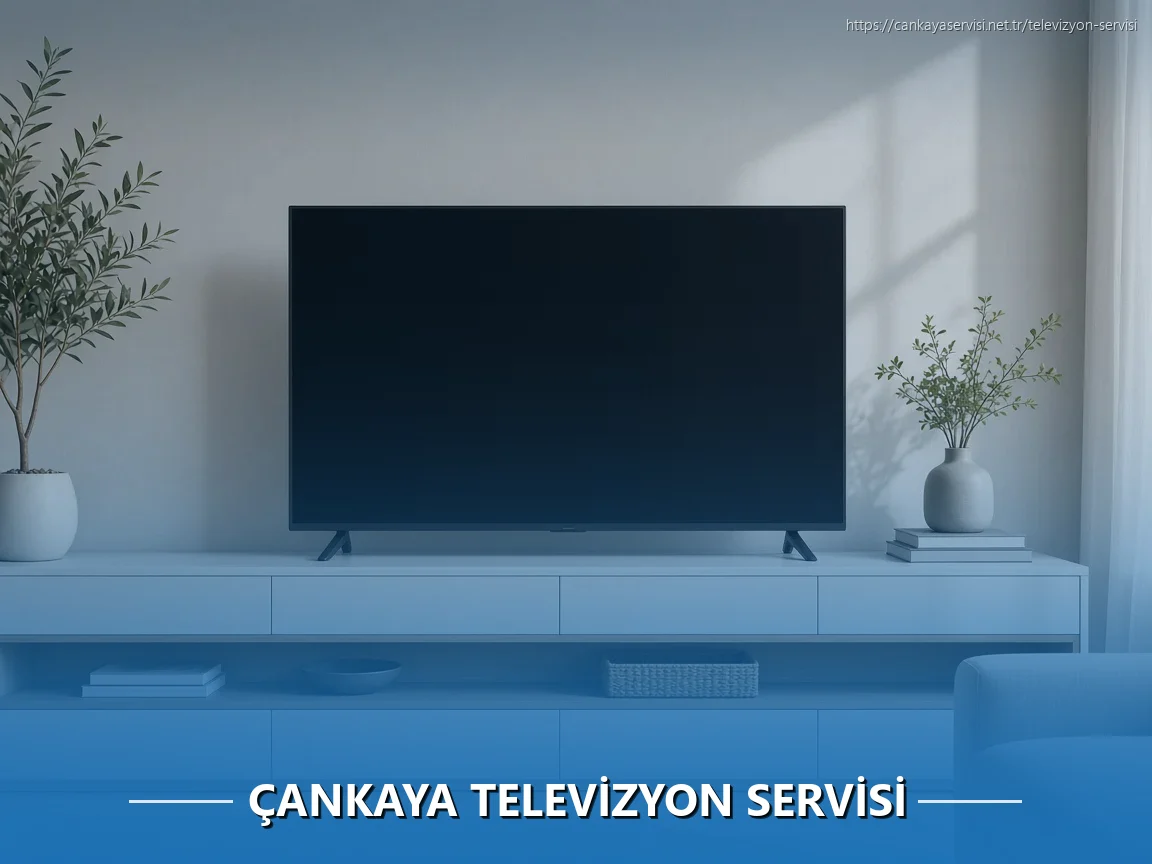 Çankaya Televizyon Servisi
