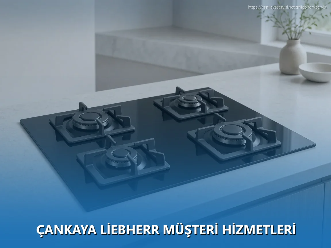 Çankaya Liebherr Müşteri Hizmetleri