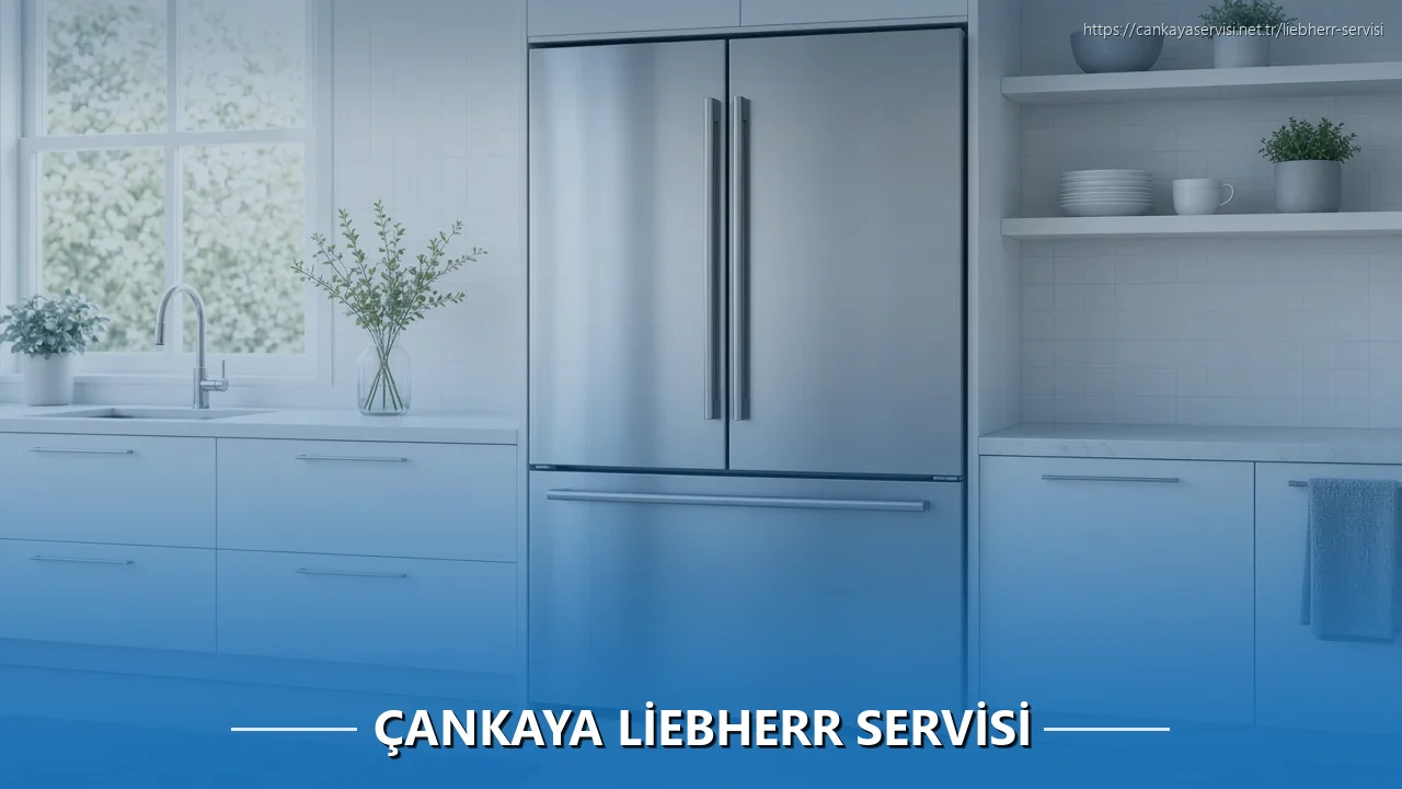 Çankaya Liebherr Servisi